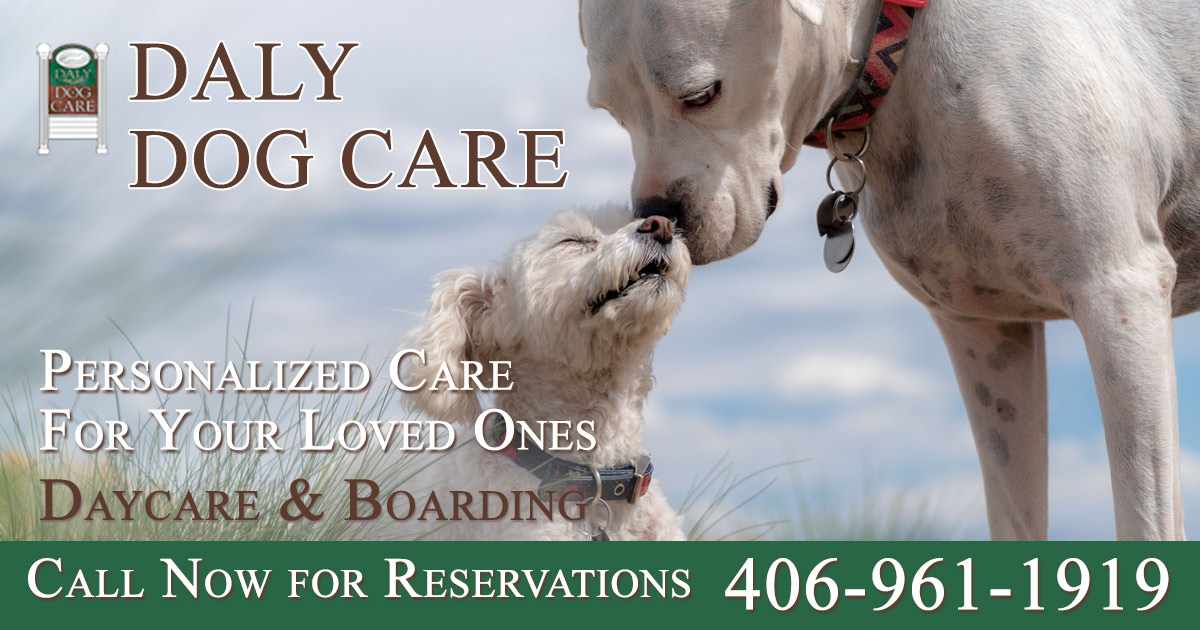 Dog Boarding Hamilton, MT Daly Dog Care